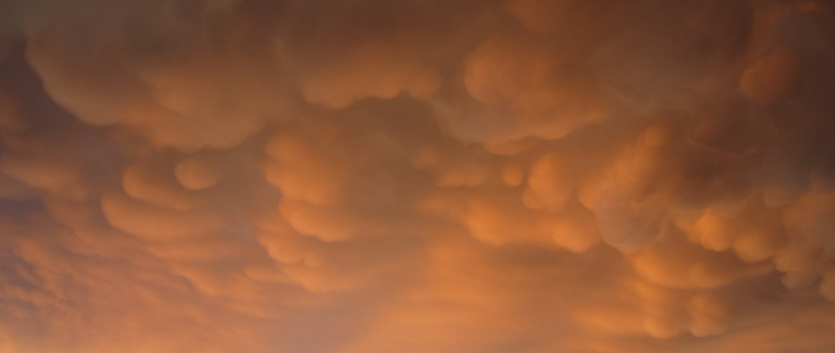 mammatus